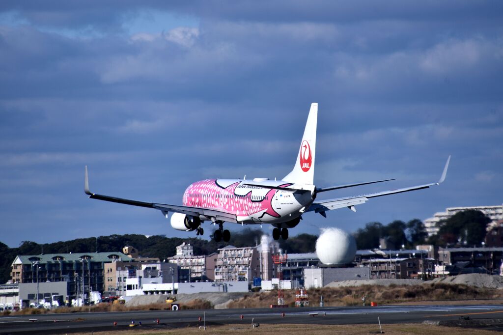 JAL 1106