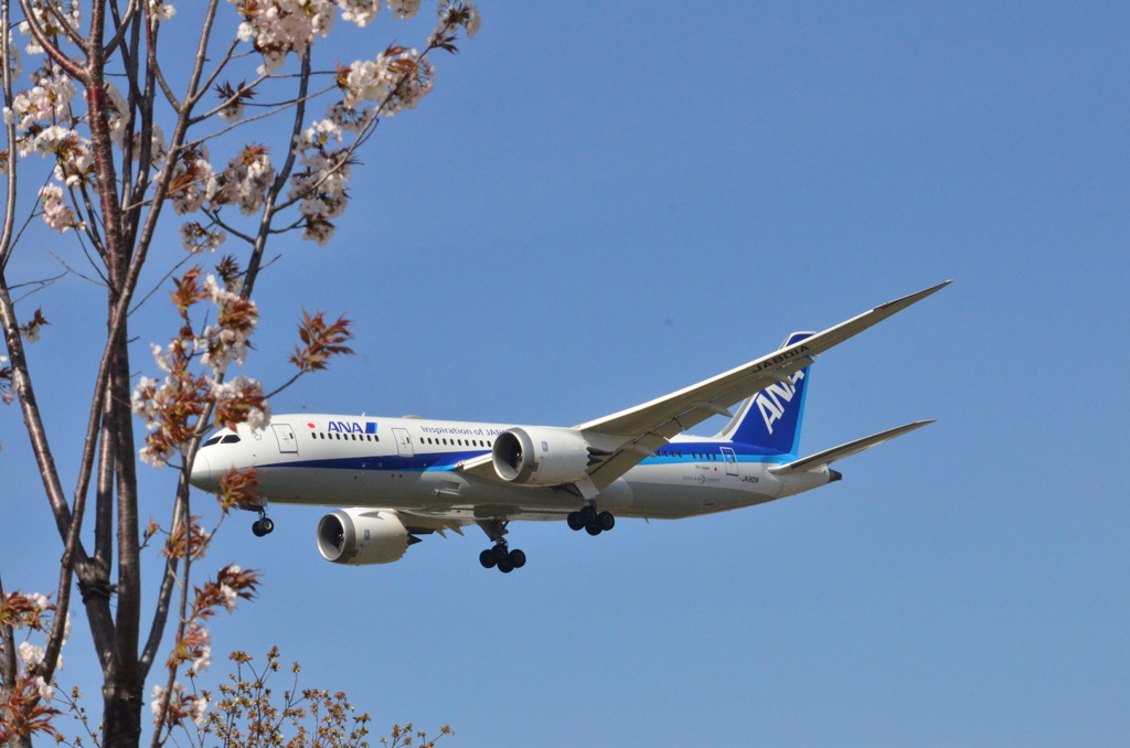 ANA 114