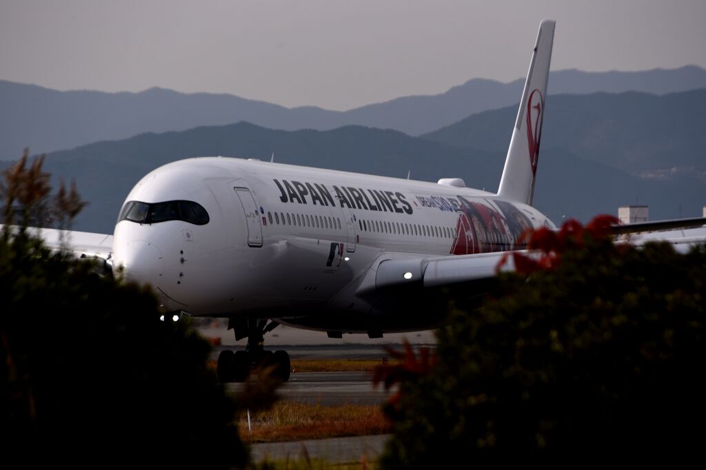 JAL 1243