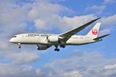 JAL 236
