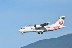 JAL 45