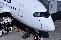 JAL 939