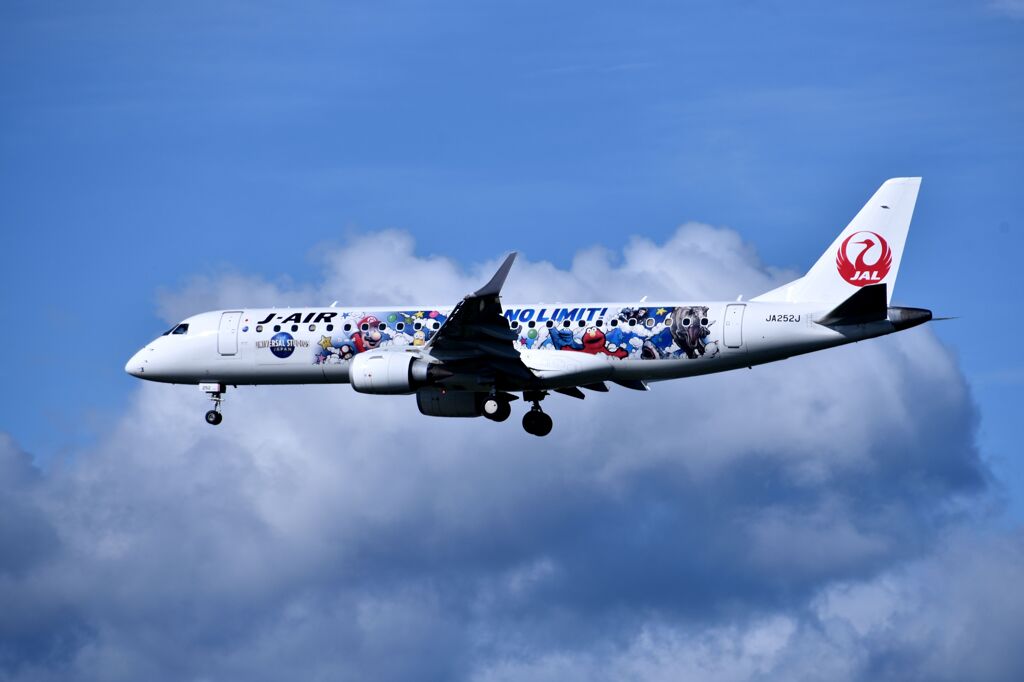 JAL 1007