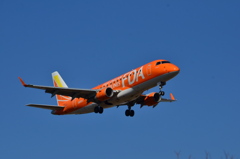 FDA 176