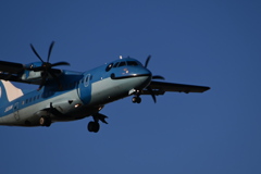 NO1733（ 天草エアライン　みぞか号）