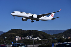 JAL 1175     Airbus A350