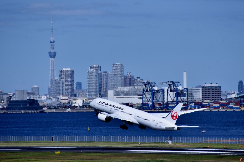 JAL 1069