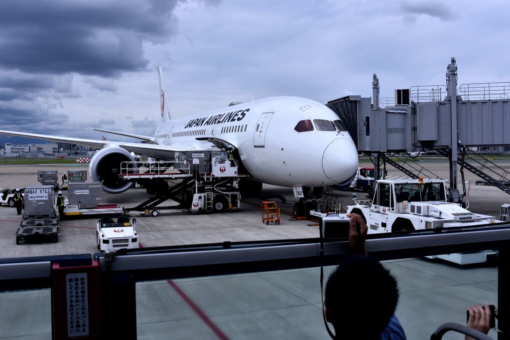 JAL 1050