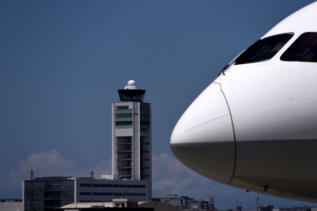 JAL 1293