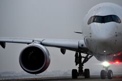 JAL 517