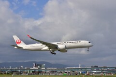 JAL 323