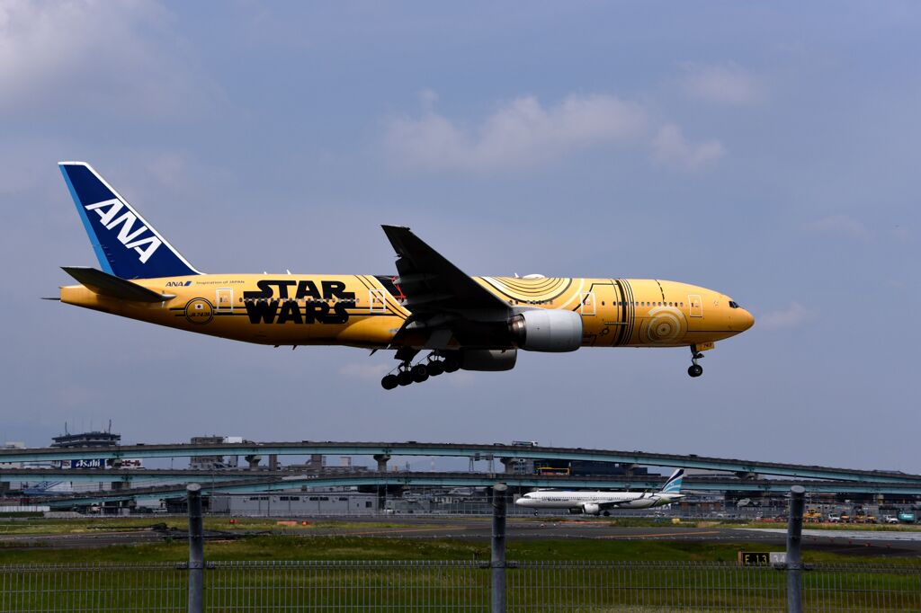 ANA 973
