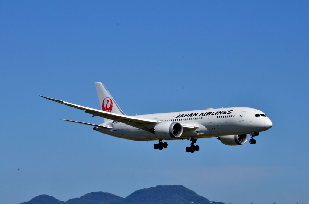 JAL 80