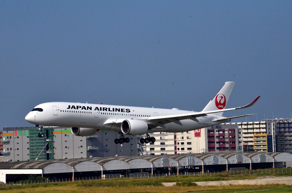 JAL 313