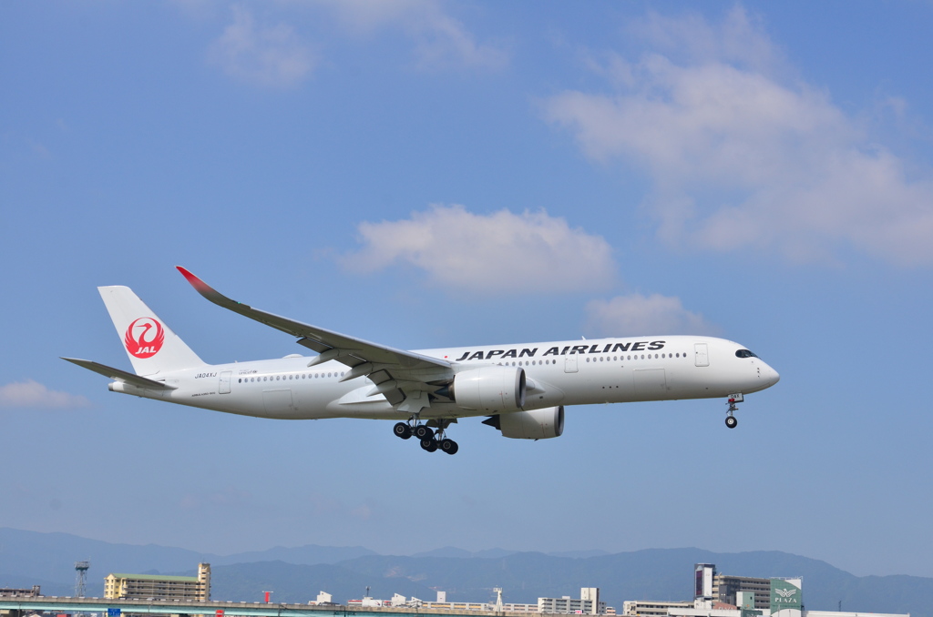 JAL 204   Airbus A350