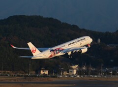 「強く生きるの　女の街で」（JAL1373）