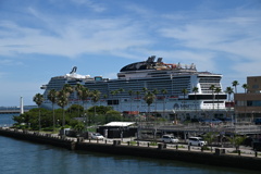 「MSC Bellissima2025」02