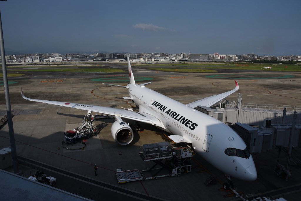 JAL 1247      (JA08XJ)