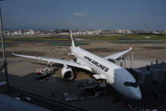 JAL 1247      (JA08XJ)