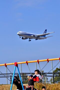ANA 422