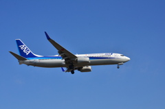 ANA 386