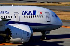 ANA 446