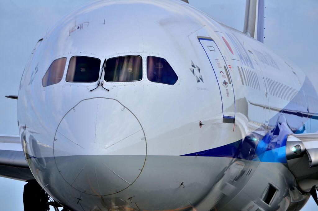 ANA 500