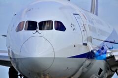 ANA 500