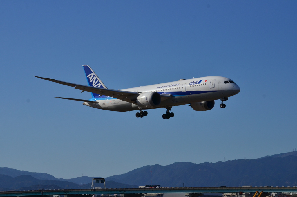 ANA　483