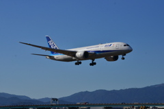 ANA　483