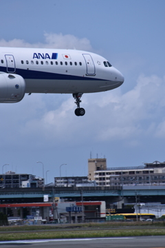ANA 569