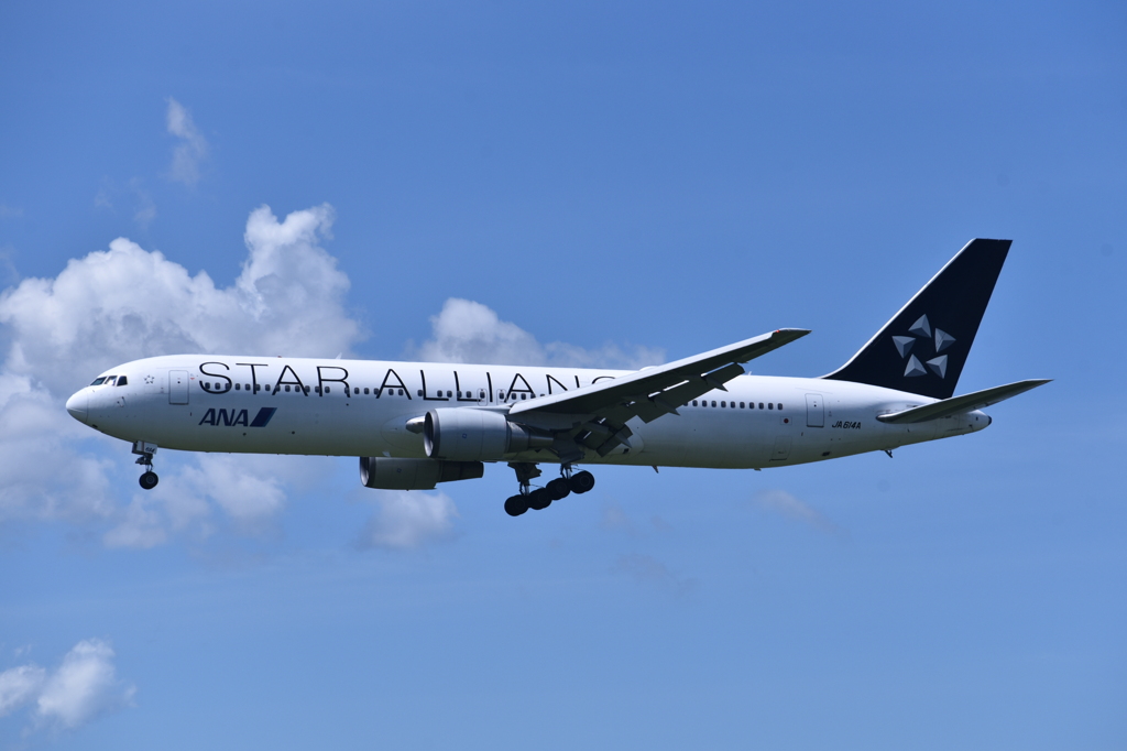 ANA 961