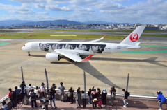 A350 JAL 13