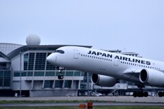 JAL 612