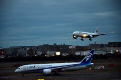 ANA 435