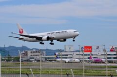 JAL170