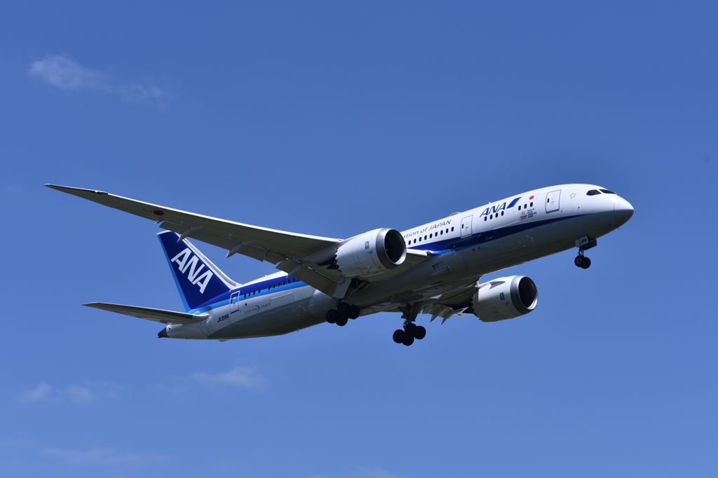 ANA 536