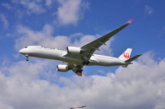 JAL 187