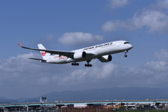 JAL 1004