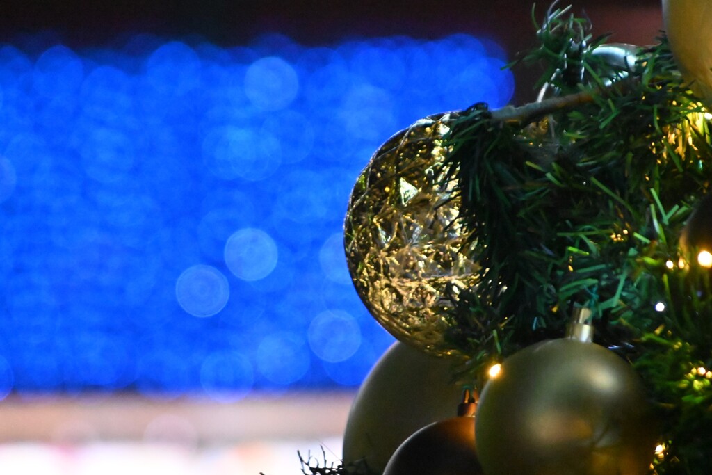 らんだむ。らんだむ。ラン！ラン！ラン！その百四十一「我が街のツリー 」07