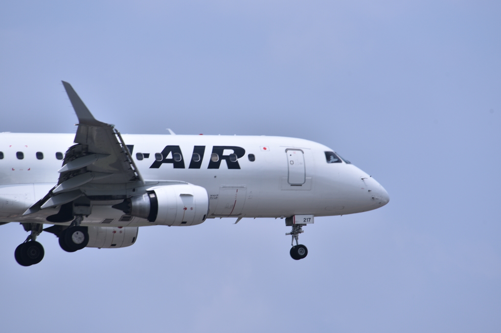 JAL 604
