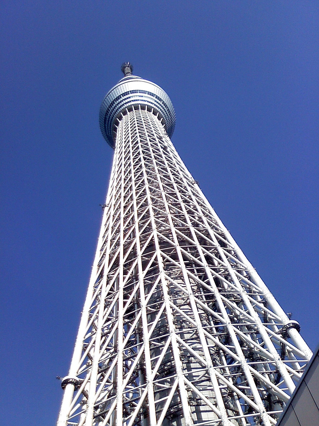 忘れな草　122「スカイツリー」