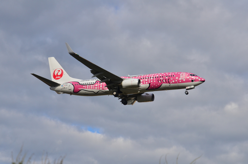 JAL 367