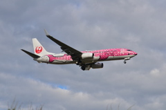 JAL 367