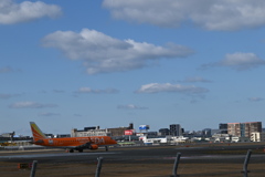 「初撮り2026」（FDA 311）