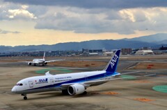 ANA 493