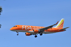 FDA 145