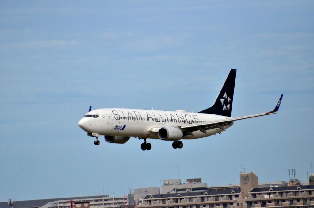 ANA 119