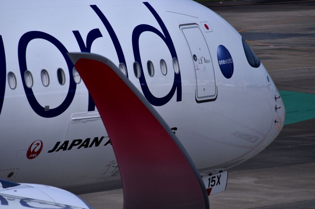 JAL 1048