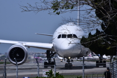 JAL 1143